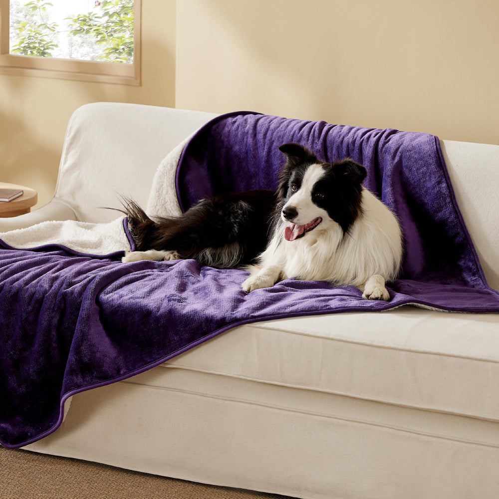 Bedsure waterproof-dog-blanket-xl-protection keeps furniture dry and comfortable for pets.