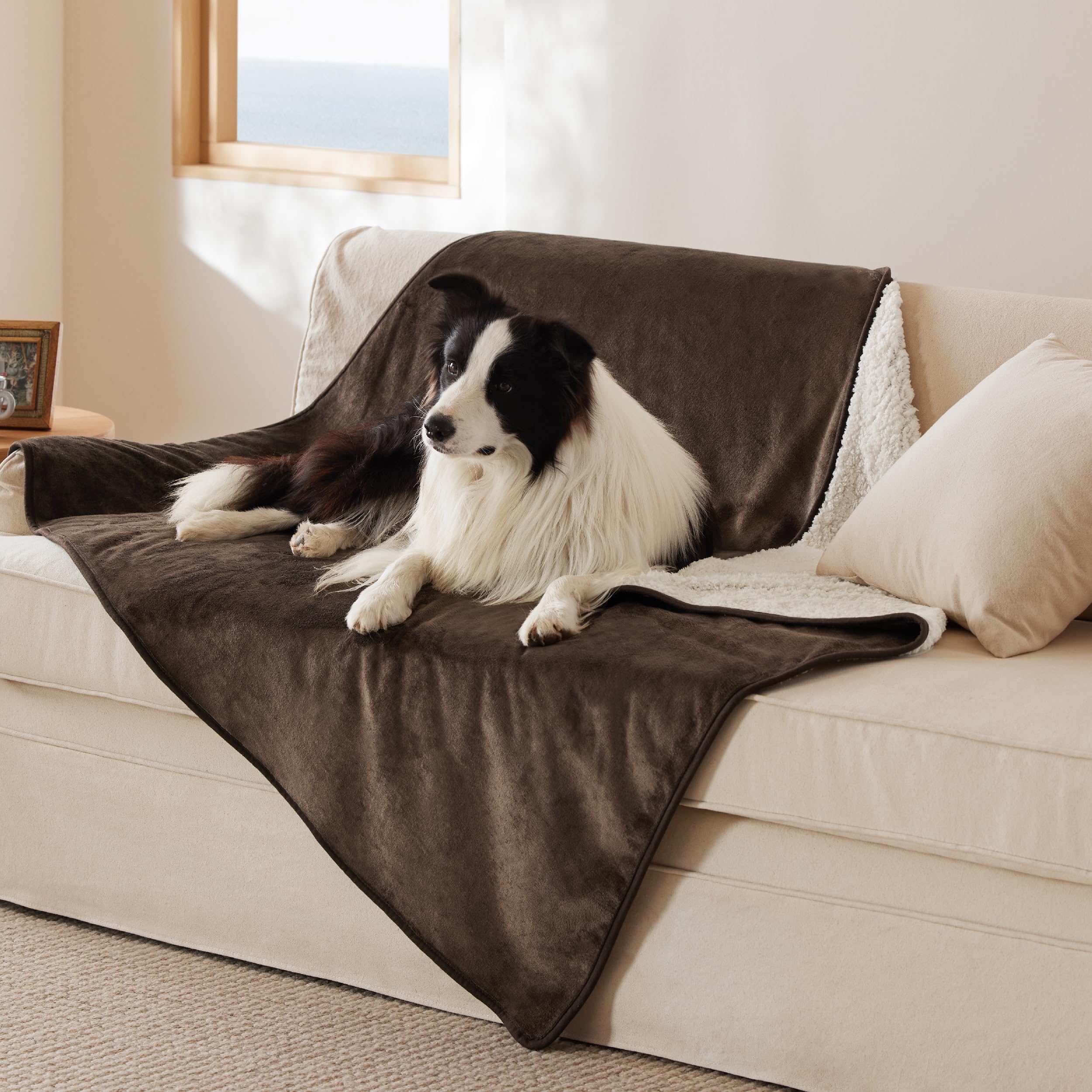 Bedsure waterproof dog blanket XL on couch blocks spills and protects furniture.