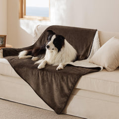 Bedsure waterproof dog blanket XL on couch blocks spills and protects furniture.