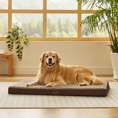 Bedsure XL dog bed with foam detail supports joints for restful sleep