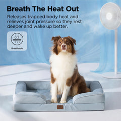 Bedsure XL dog bed laminated waterproof cover protects against spills
