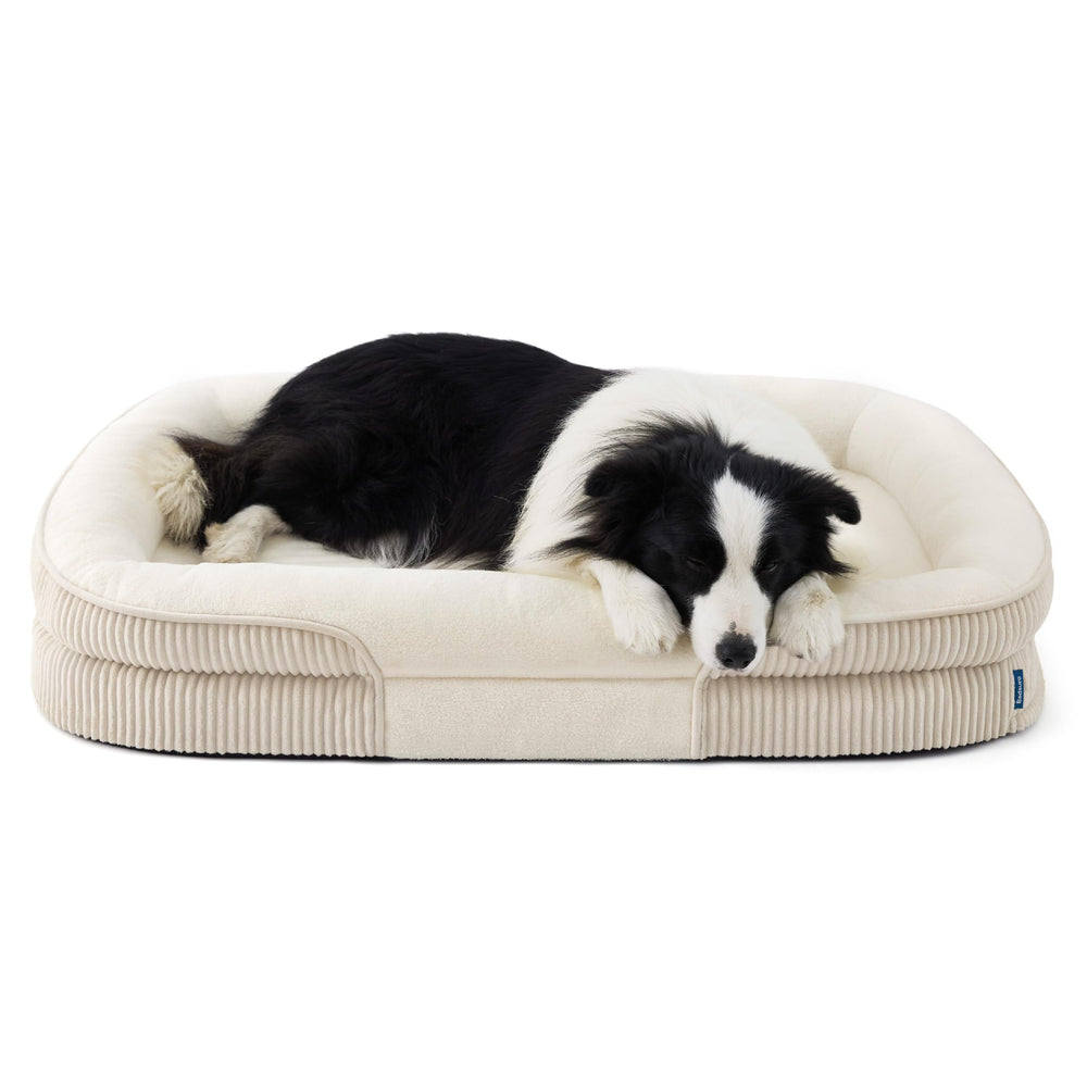 Bedsure XL orthopedic dog bed foam balance showcases plush support for joints