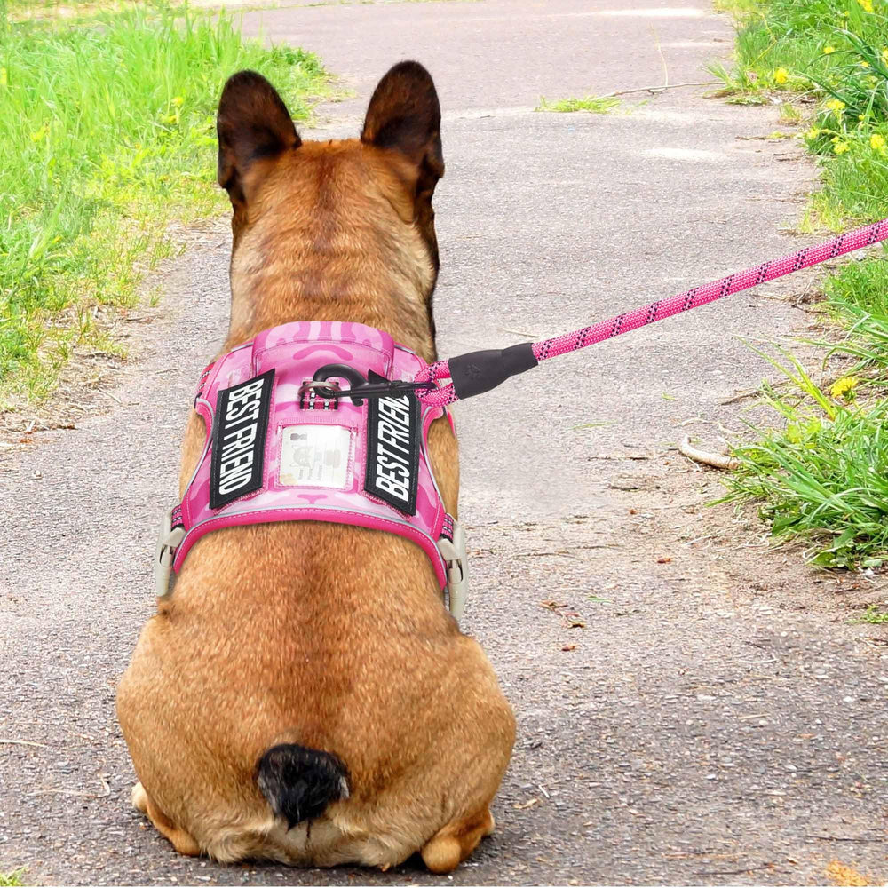 Beebiepet four-point-adjustment harness ensures snug fit for medium breeds