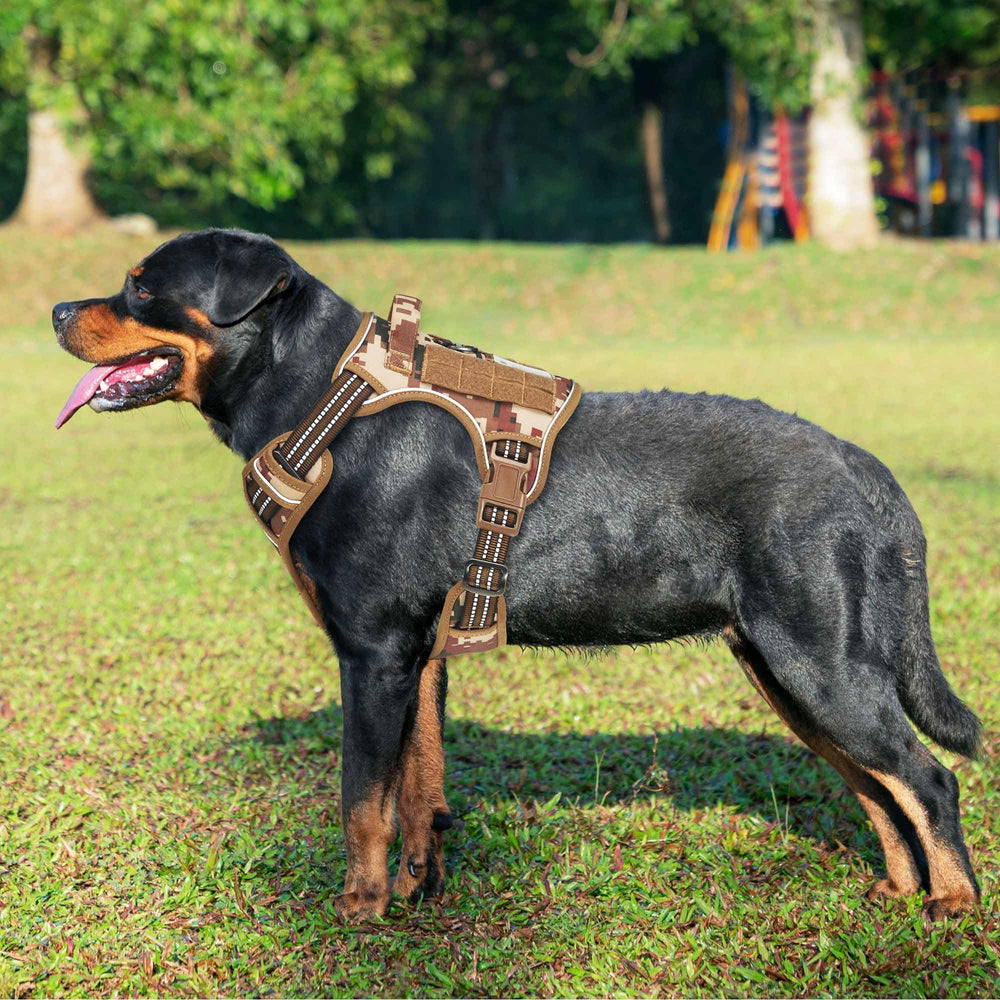 Beebiepet four-point adjustment feature enables easy wear