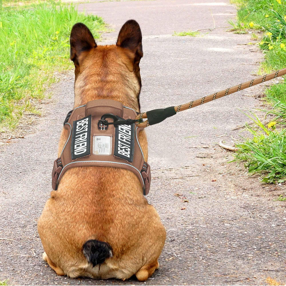 Beebiepet harness with four-point adjustment for a snug fit.