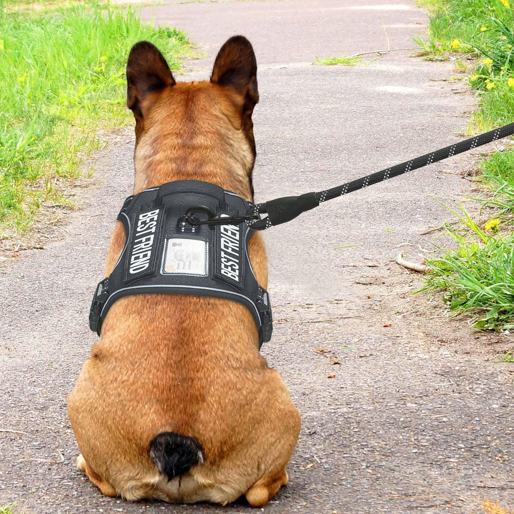 Beebiepet heavy-duty harness ID tag area for safe identification.