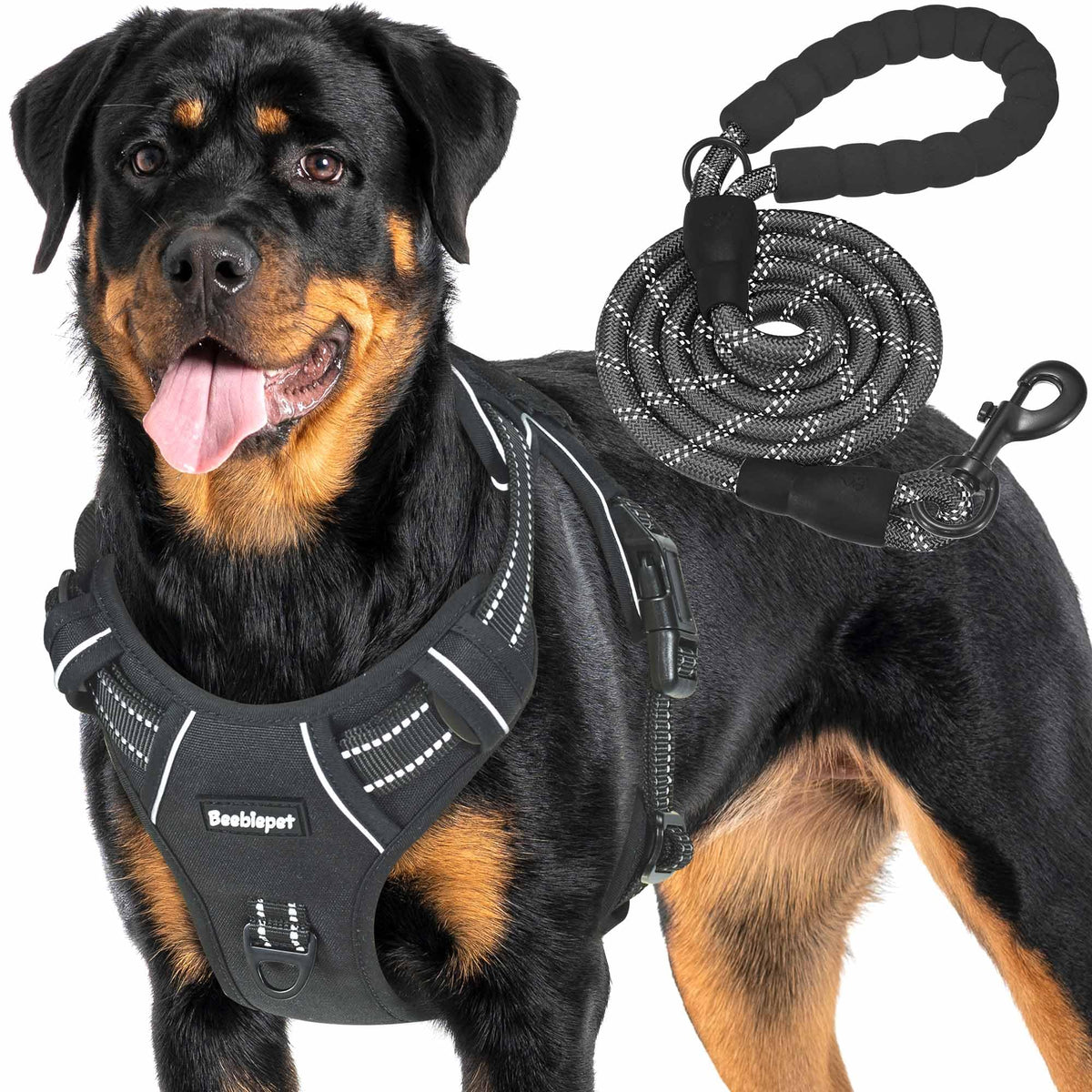 Beebiepet heavy-duty harness on a large dog, front view for control and safety.