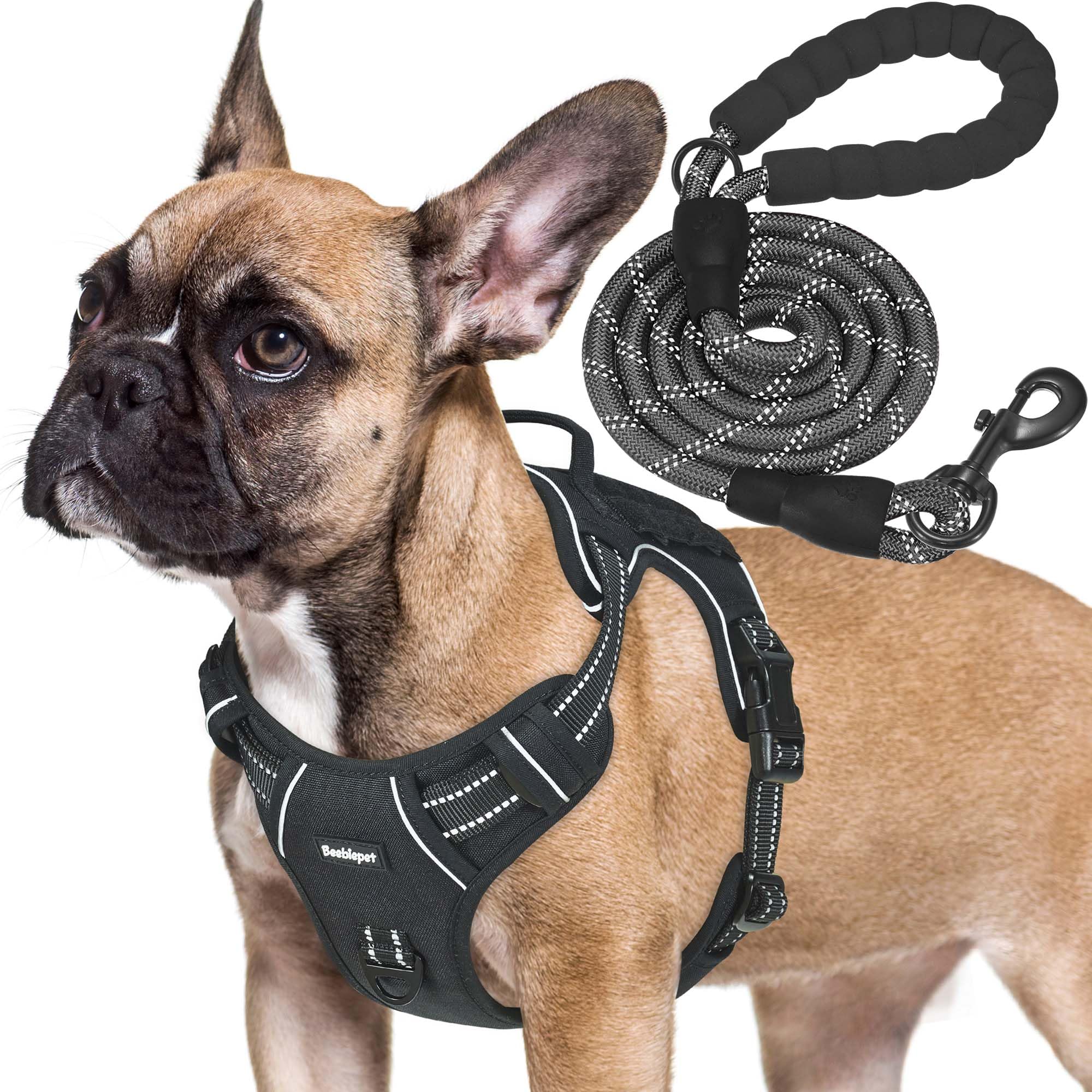 Beebiepet heavy-duty harness side view showing Molle strips for gear.