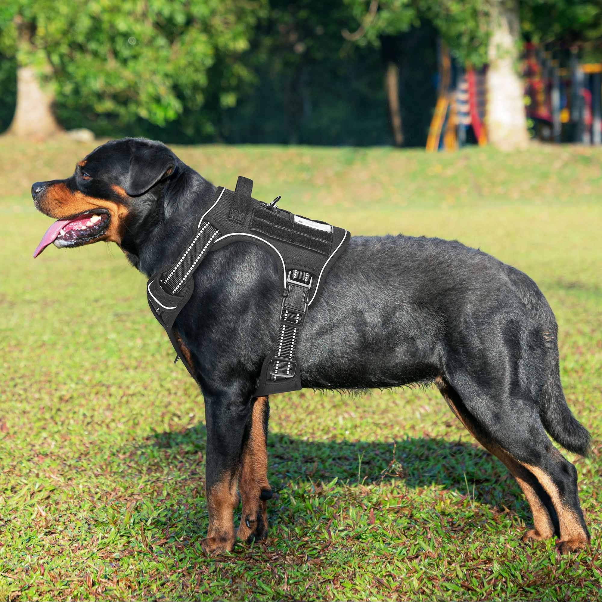 Beebiepet heavy-duty harness side view with Molle system for gear-ready outings.