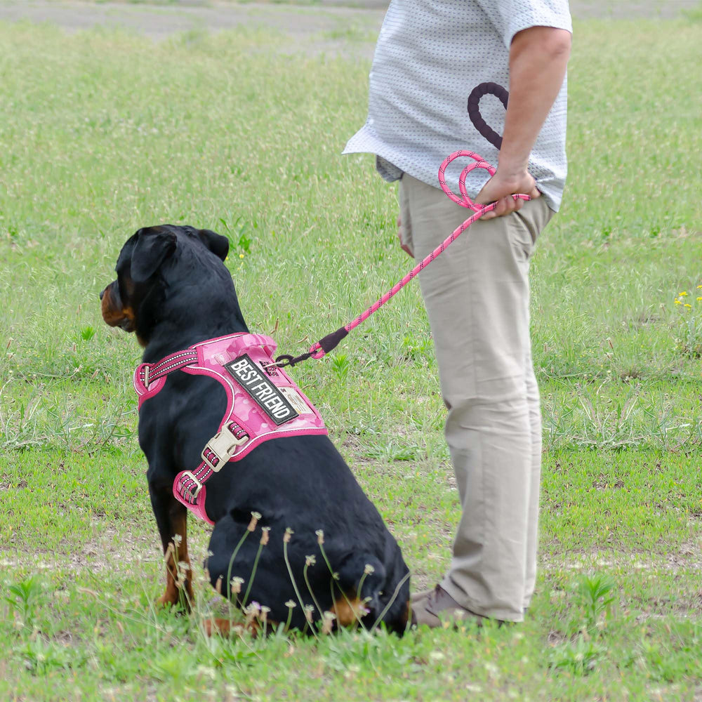 Beebiepet heavy-duty harness adjustable neck-chest system for a secure fit.
