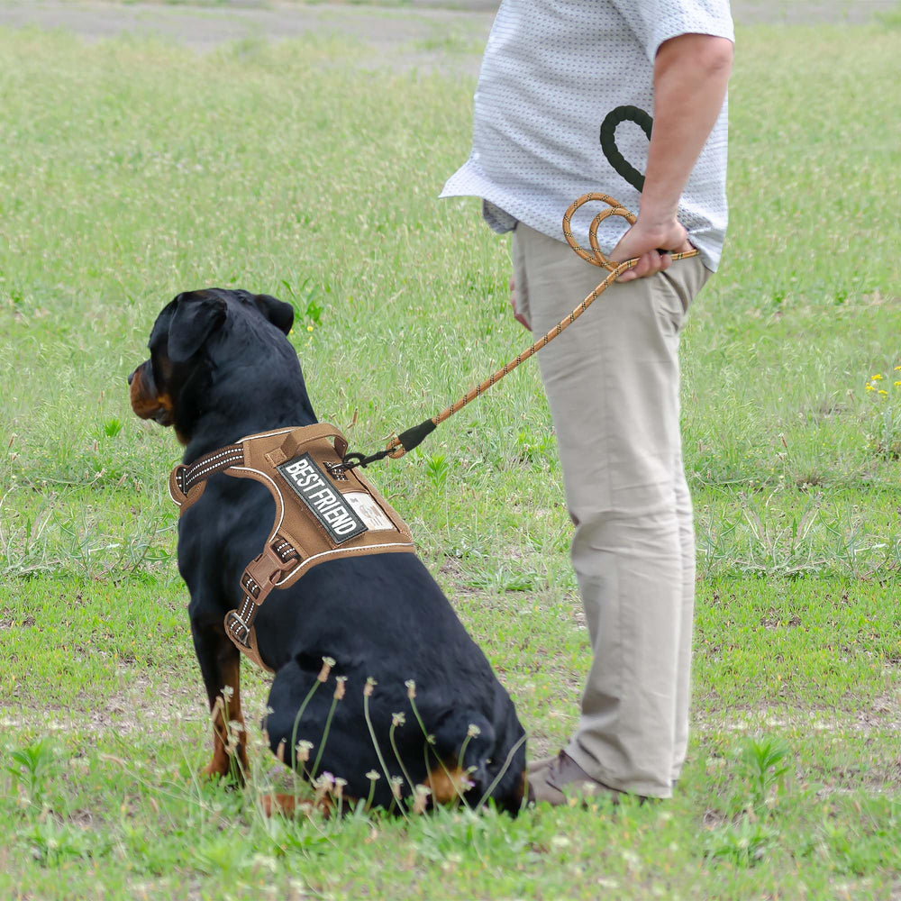 Beebiepet Heavy Duty Tactical Harness MOLLE system close-up for gear carrying