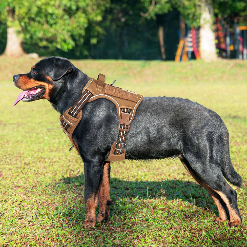 Beebiepet Heavy Duty Tactical Harness side view showing adjustable straps for a secure fit