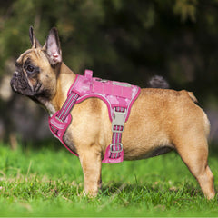 Beebiepet molle side-pouches harness for carrying essentials on outdoor walks
