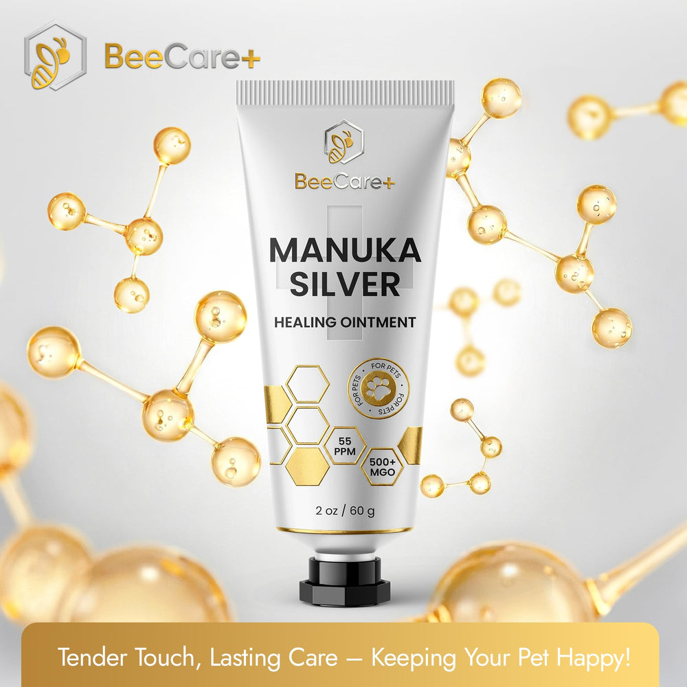 BeeCare+ Colloidal silver cleansing helps pet skin before healing