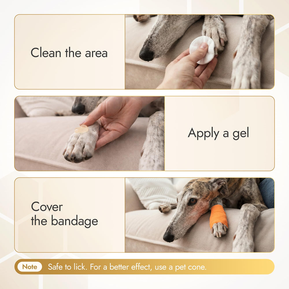 BeeCare+ Colloidal silver and honey action for cleansing and hydration in pets