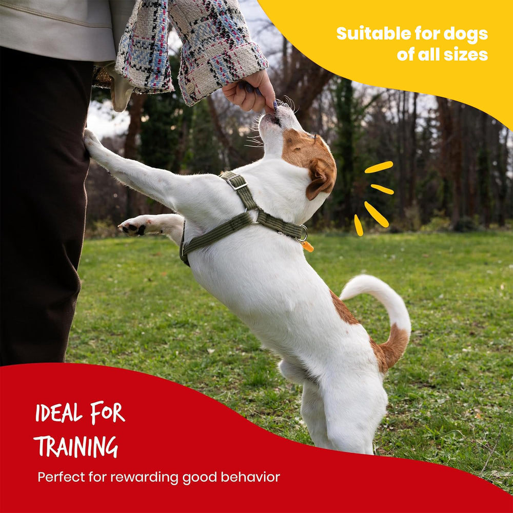 Beefeaters training jerky chew designed for rewarding sessions.