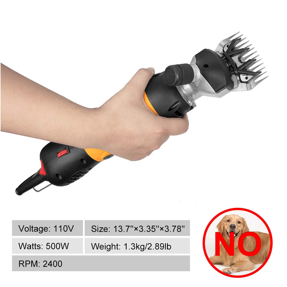 BEETRO clipper in-use on livestock for professional results