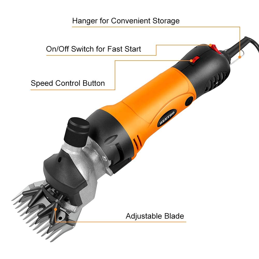 Beetro cooling spray usage during shearing maintains peak performance.