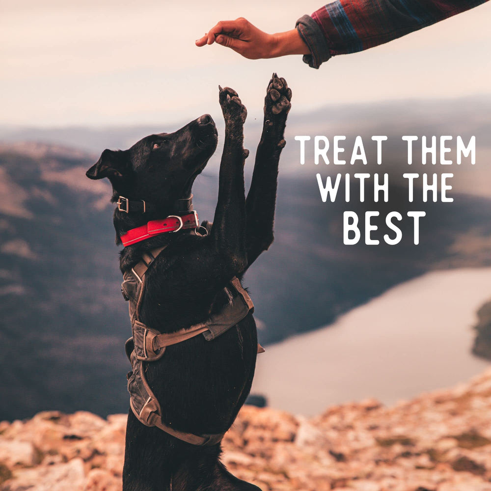 Small-dog friendly crunch suitable for tiny mouths and daily treats.