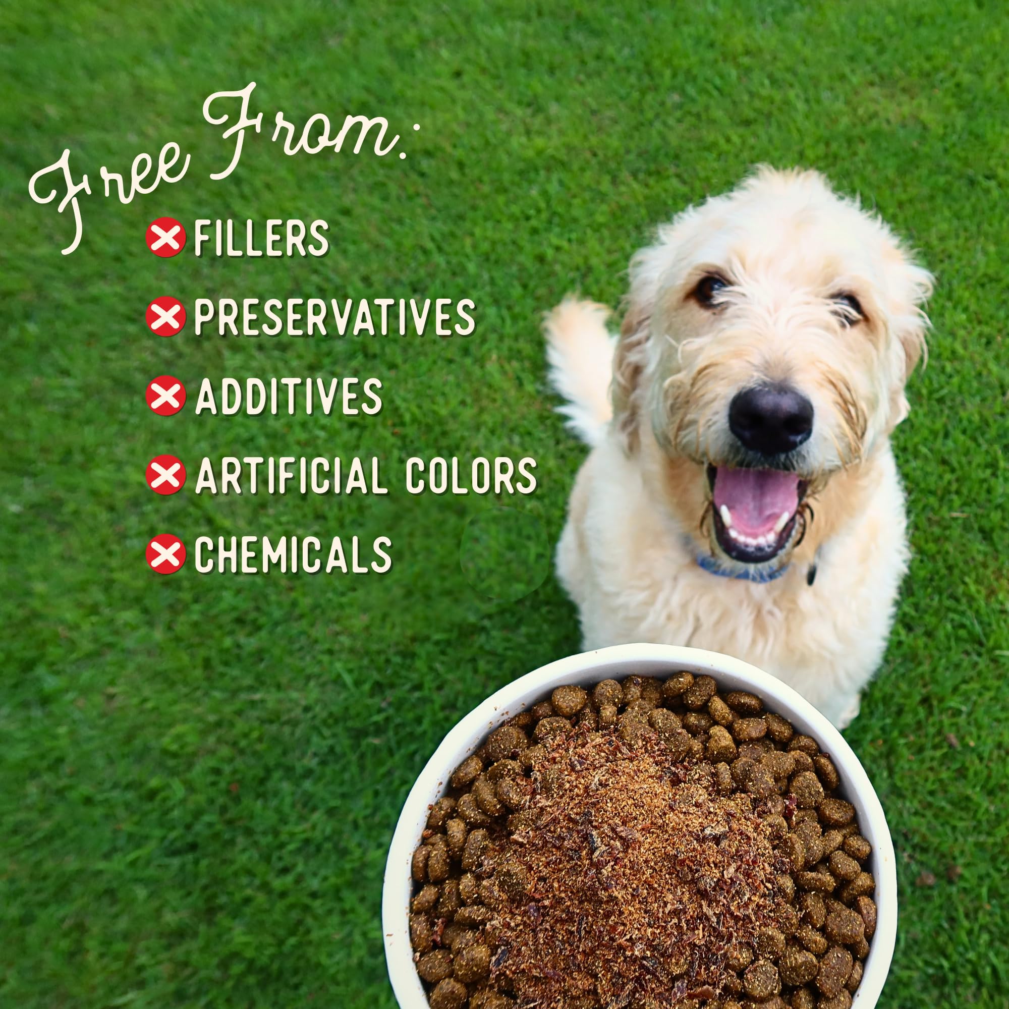 Beg & Barker Beef Topper training treat rewarding meal time