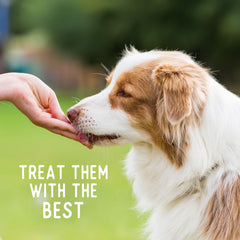 Beg & Barker Chicken Chips suitable for dogs of all sizes as rewards.