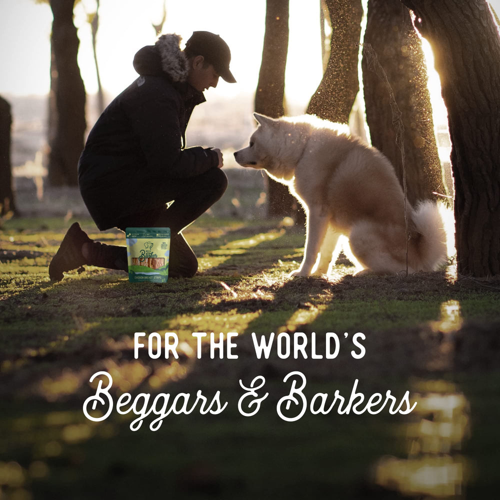 Beg & Barker high-protein dog jerky — helps sustain energy during activities