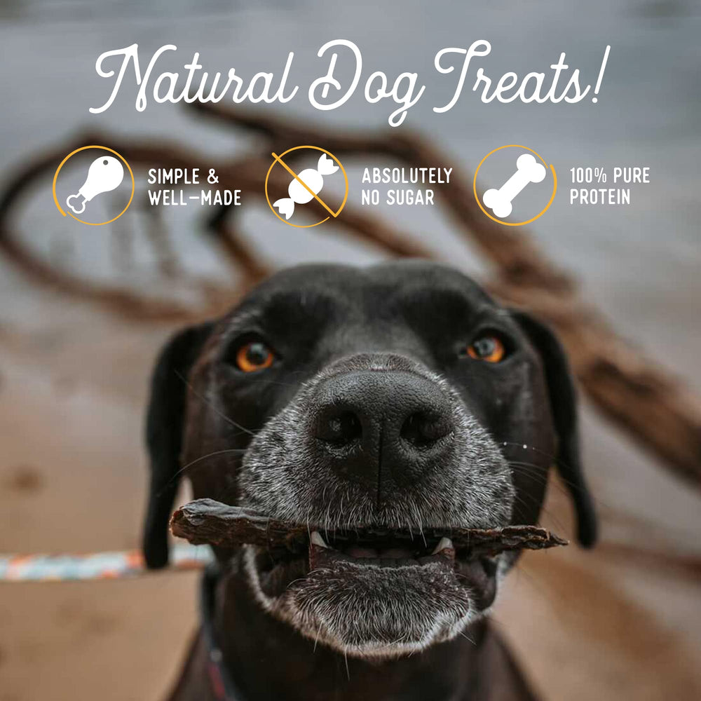 Beg & Barker low-fat liver jerky supports healthy appetite and energy.