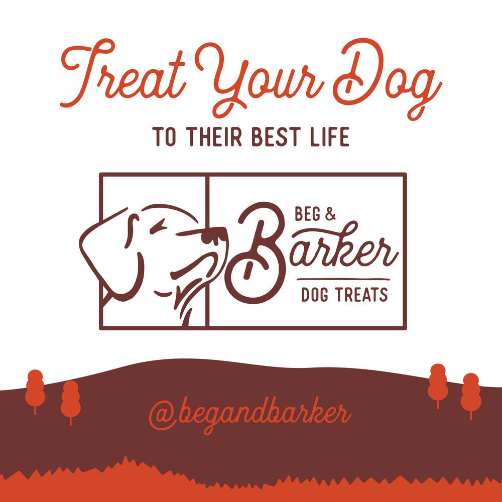 Beg & Barker pork jerky single-ingredient: pure pork only, ideal for discerning dogs.