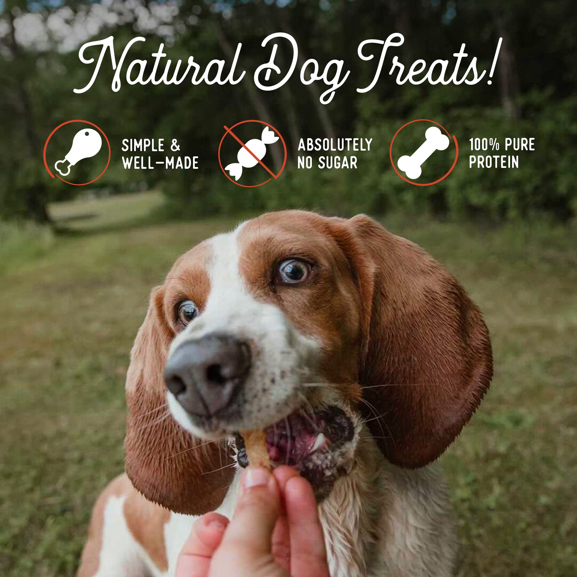 Beg & Barker pork jerky training reward during dog session