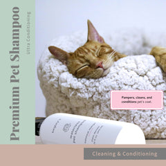 Begley's No Rinse with Fresh Lavender scent for a pleasant coat aroma
