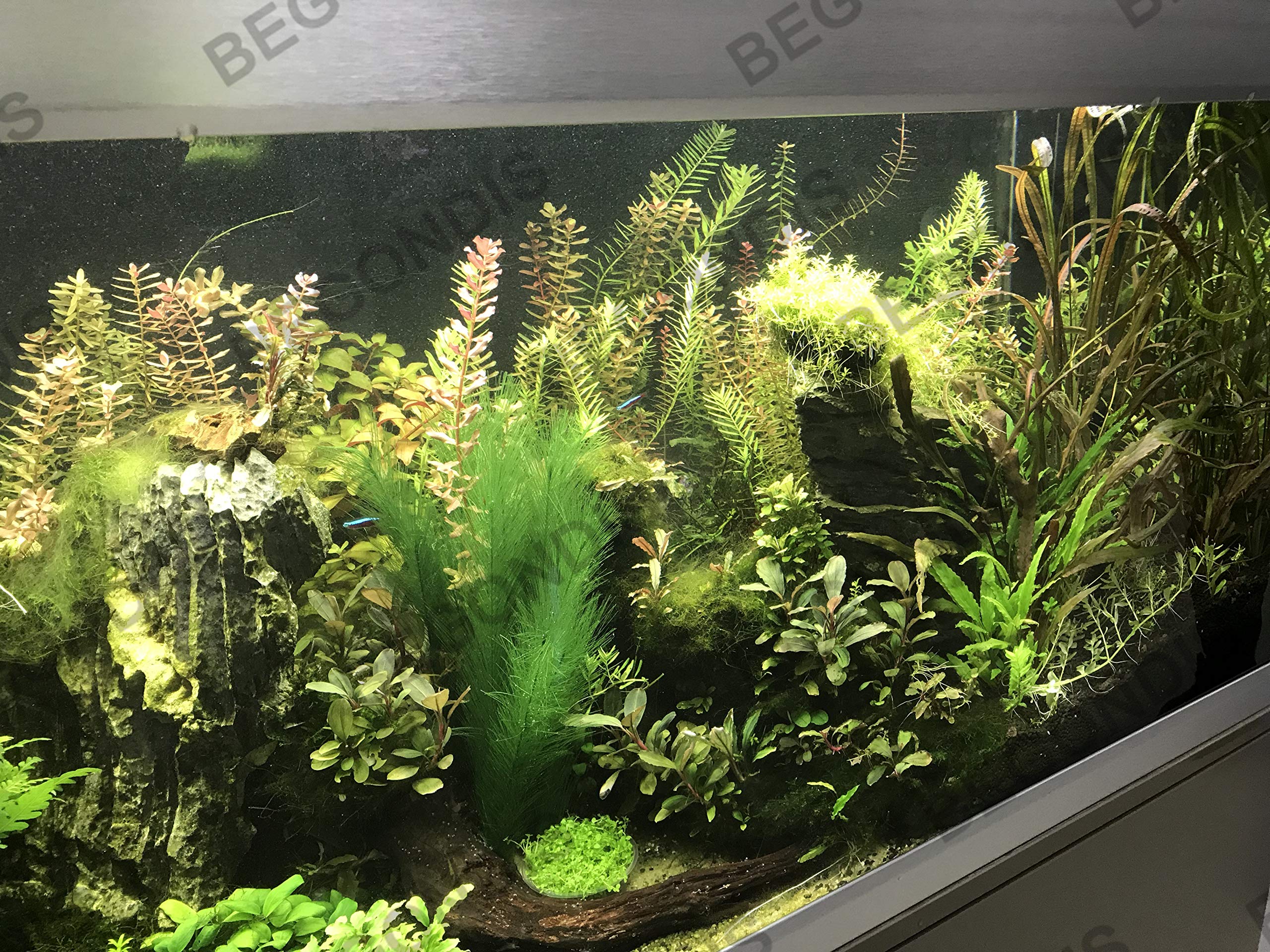Five-leaf-per-piece BEGONDIS silk plants offer realistic hiding spots for fish.