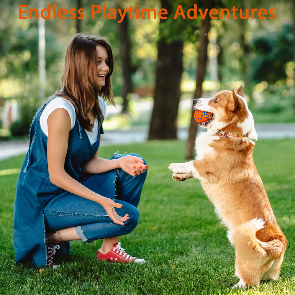 Beieverluck lightweight bounce enhances fetch sessions during outdoor training.