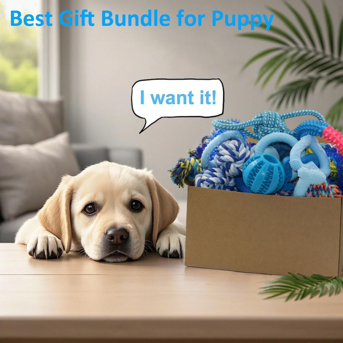 Beiker gift packaging for dog toy bundle, a delightful surprise for pets.