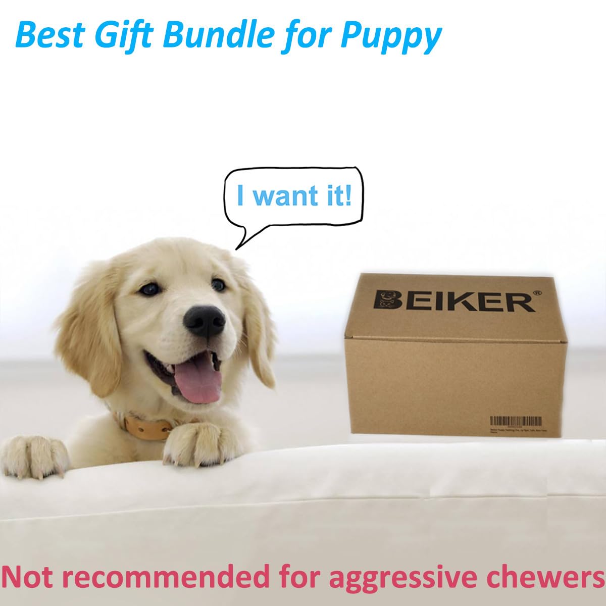 Beiker outdoor flyer toy invites active fetch and outdoor bonding.