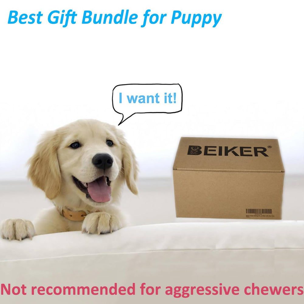 Beiker outdoor flyer toy invites active fetch and outdoor bonding.