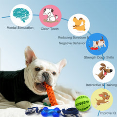 Beiker rubber rope toy helps playful puppies chew safely indoors.