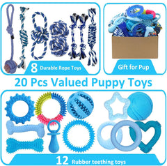 Beiker soft rubber dental toy for puppies, gentle gum massage during teething.