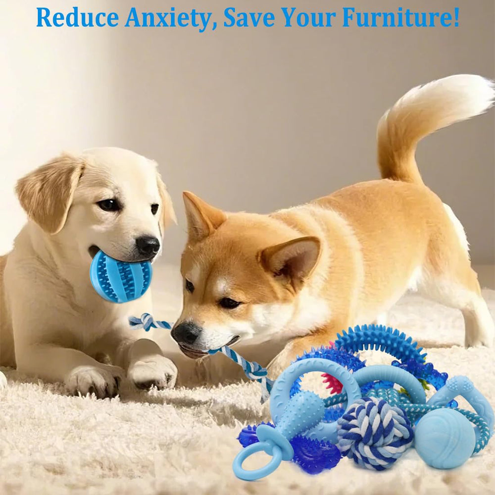 Beiker teething rings for puppies, soothing gums and cleaning teeth.