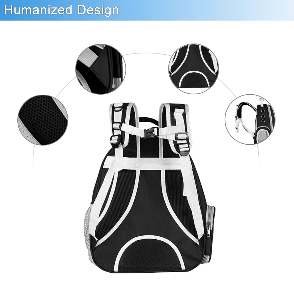 BEIKOTT cat backpack airline-approved design for cabin travel.