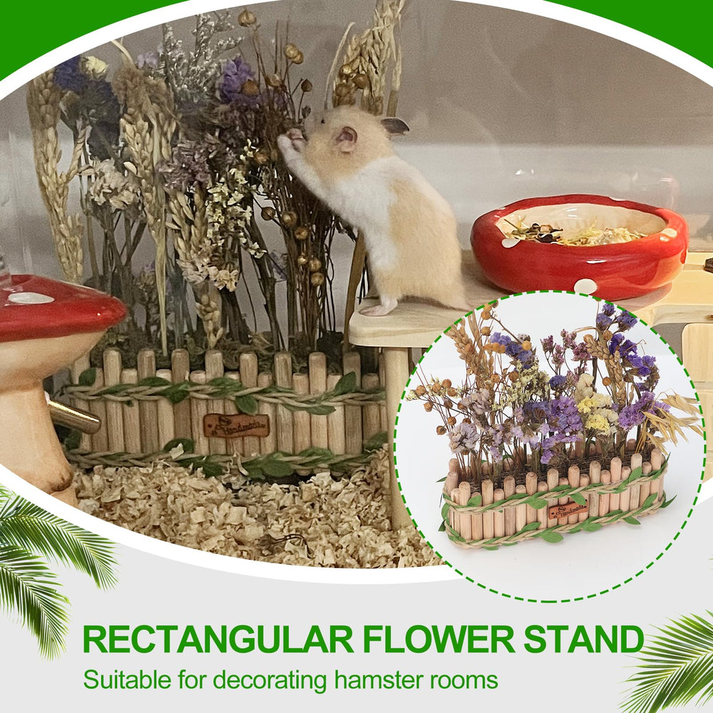 BELEATAL dried flowers foraging area demonstrates versatile enrichment for hamsters and mice.