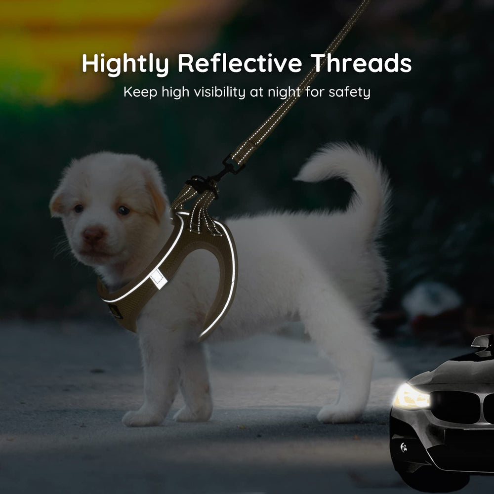 BELLA & PAL step-in design on harness, easy to wear