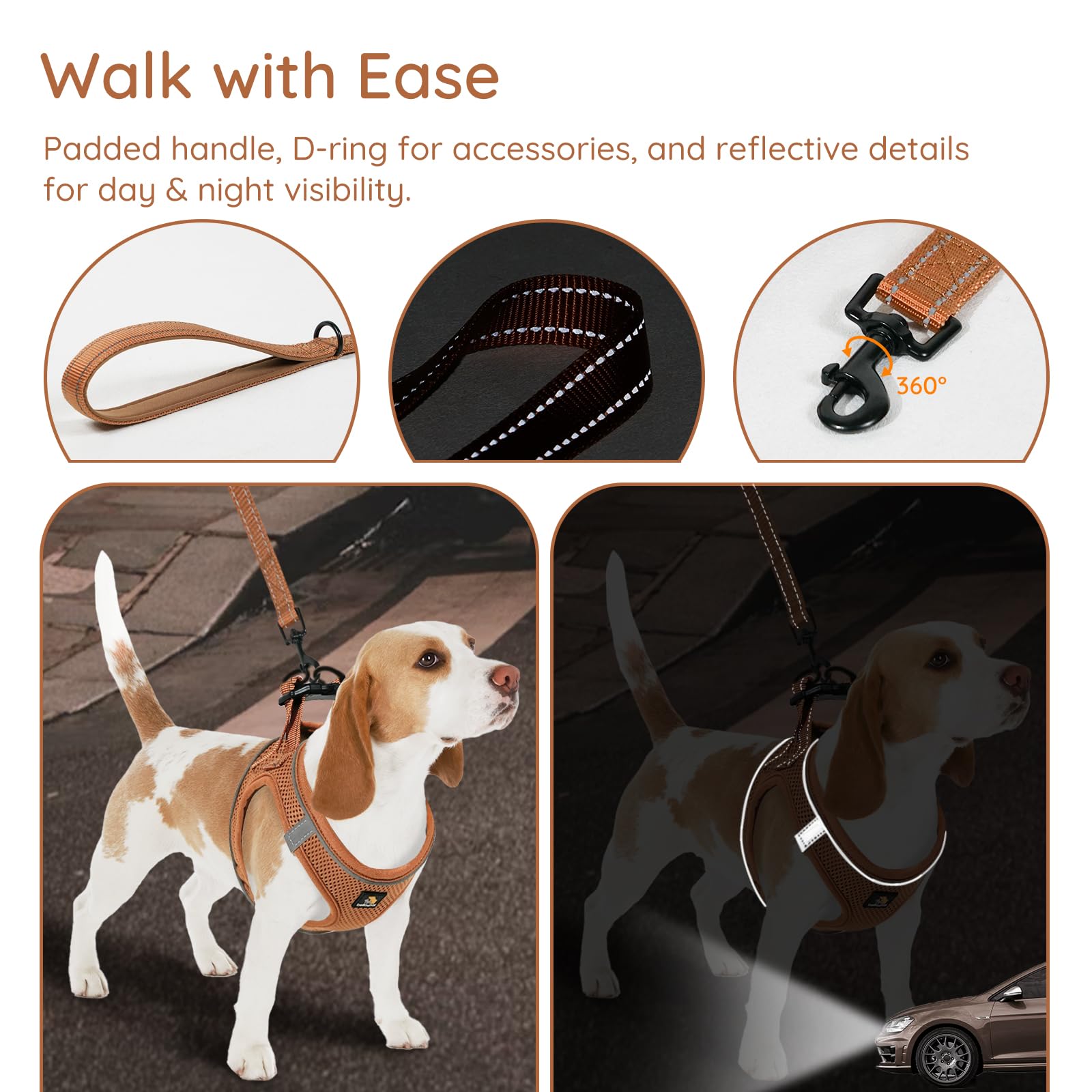 BELLA & PAL secure buckle and double D-rings prevent accidental detachment.