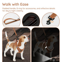 BELLA & PAL secure buckle and double D-rings prevent accidental detachment.