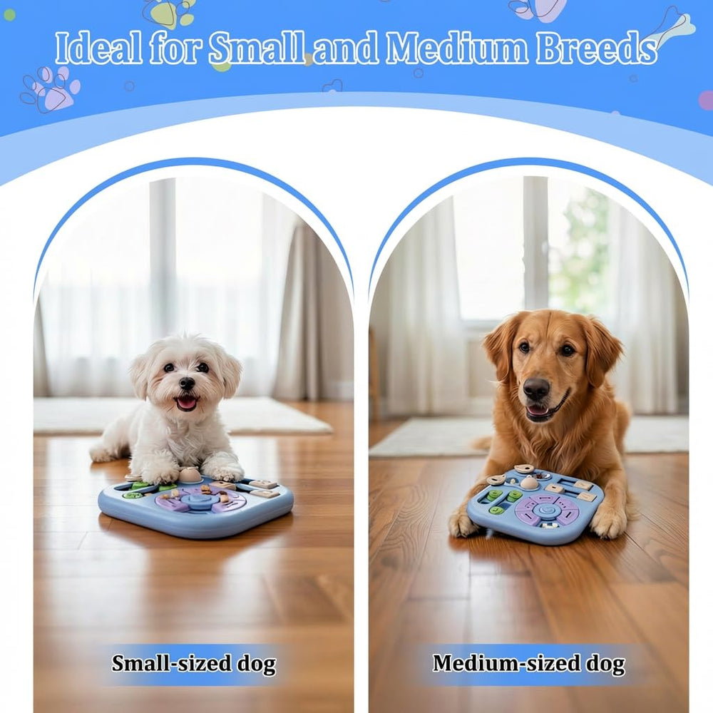 BELLEDO slow-feeding design turns meals into a thoughtful longer-lasting challenge