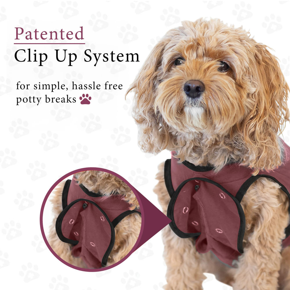 BellyGuard anxiety-relieving design: gentle coverage helps comfort nervous pups after surgery.