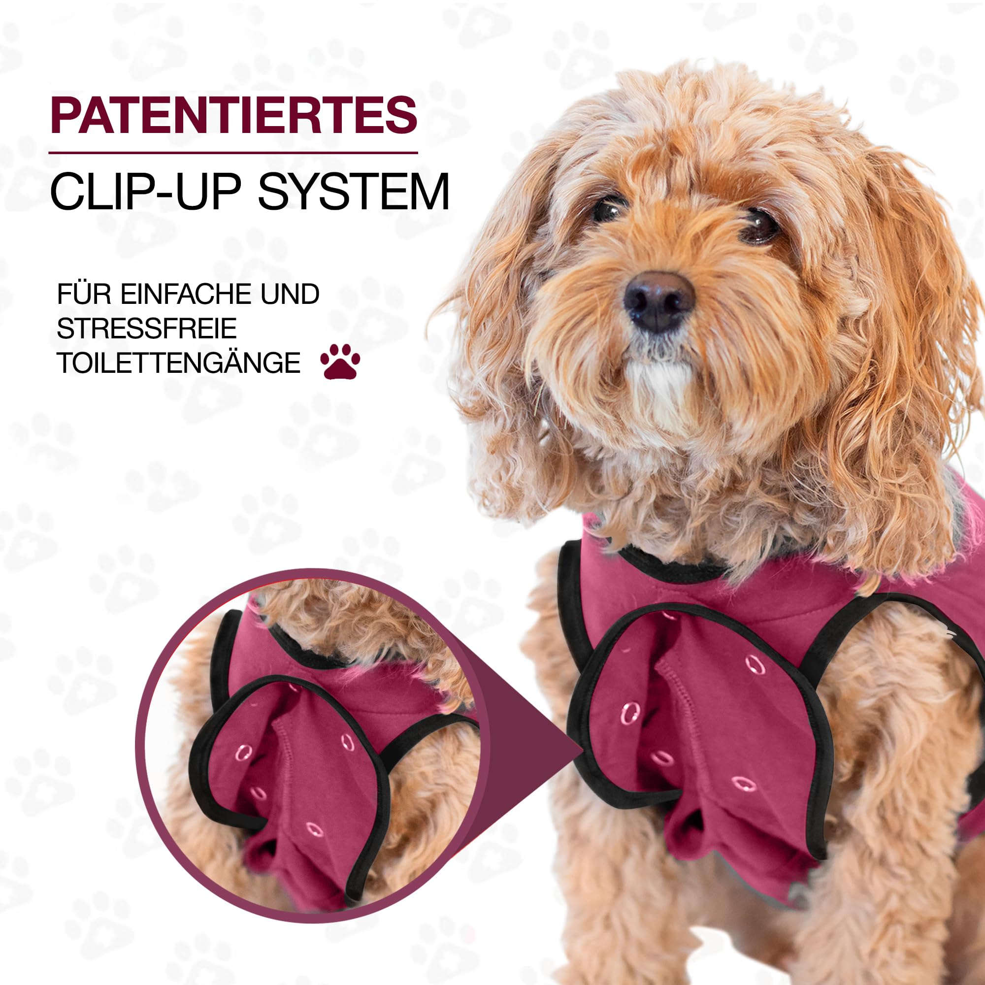 BellyGuard breathable-dog-recovery-apparel offers light-weight support during healing sessions