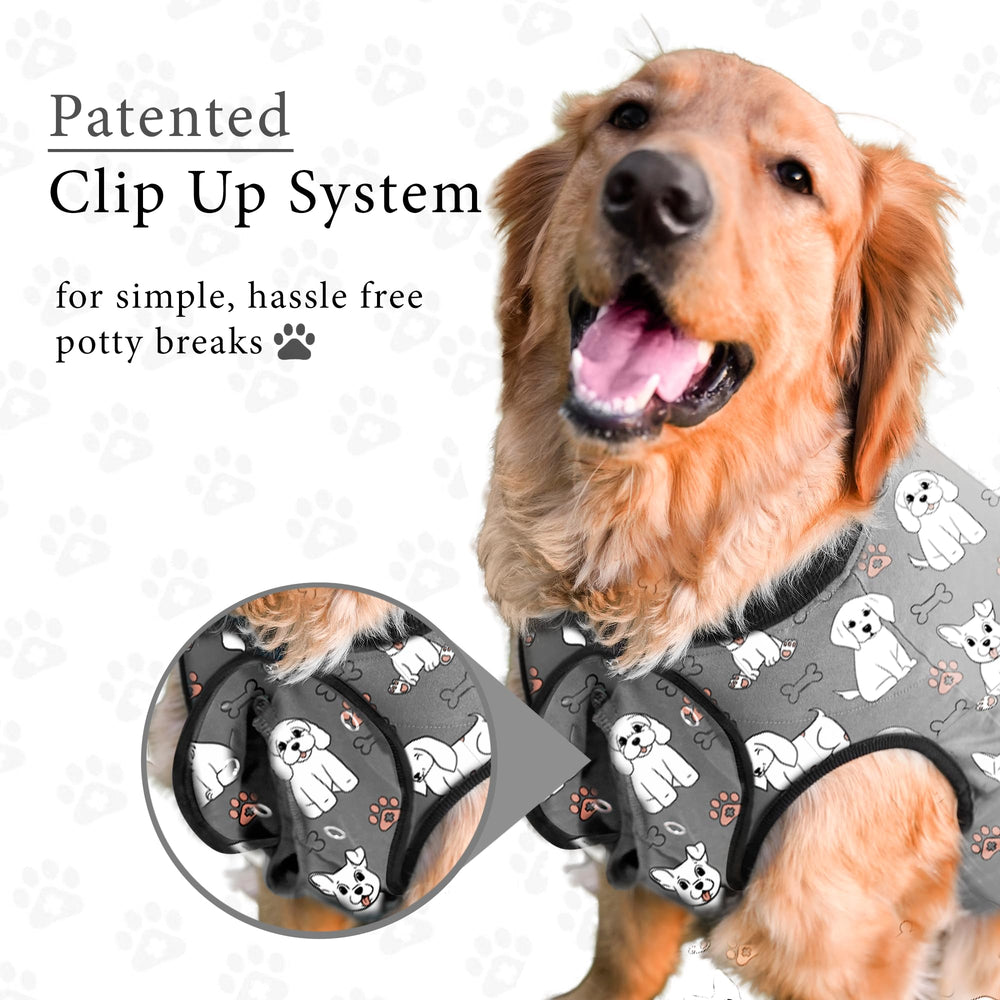 BellyGuard breathable lightweight suit stays comfy for anxious dogs at home