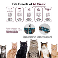 BellyGuard cat recovery suit back view demonstrates full coverage