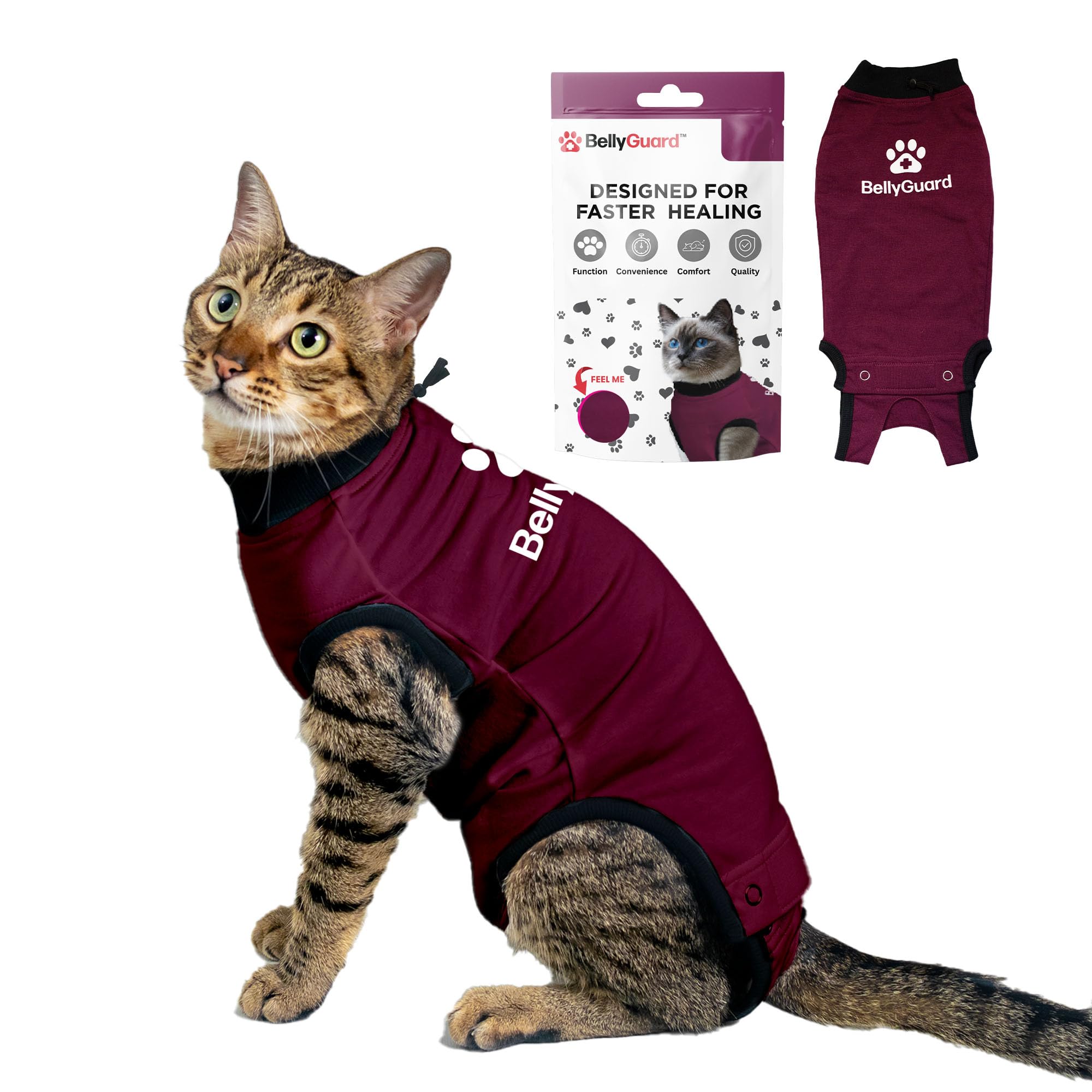 BellyGuard cat recovery suit front view supports gentle healing and mobility