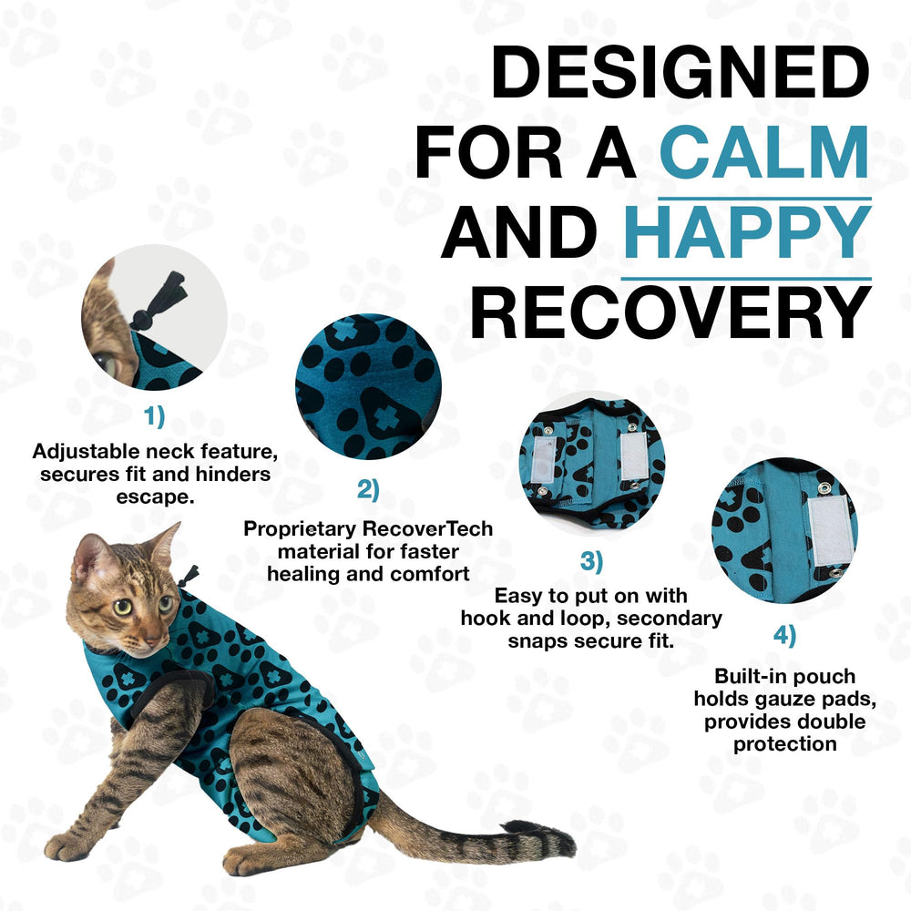 BellyGuard cozy cat pajamas post-surgery provide warmth and security